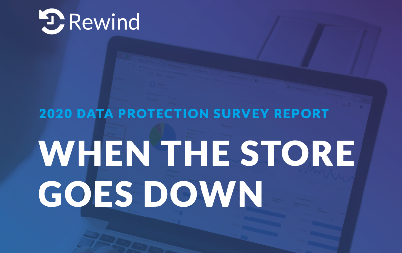 Rewind Data Protection Survey
