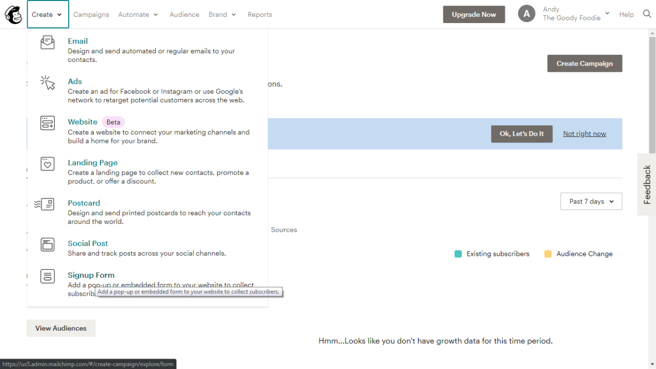 Effective Lead Building Using Mailchimp Sign Up Forms