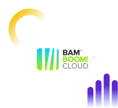 Bam Boom Cloud testimonial on the value of Rewind Backups in eCommerce